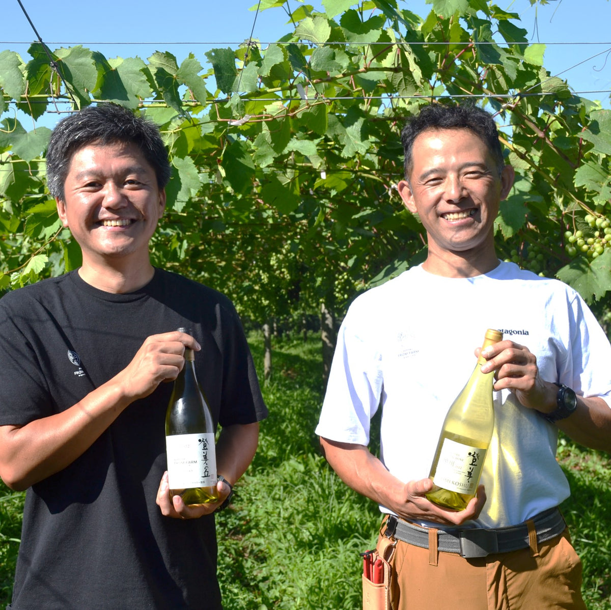登美の丘＜甲州＞2022 – SUNTORY FROM FARM Online Shop