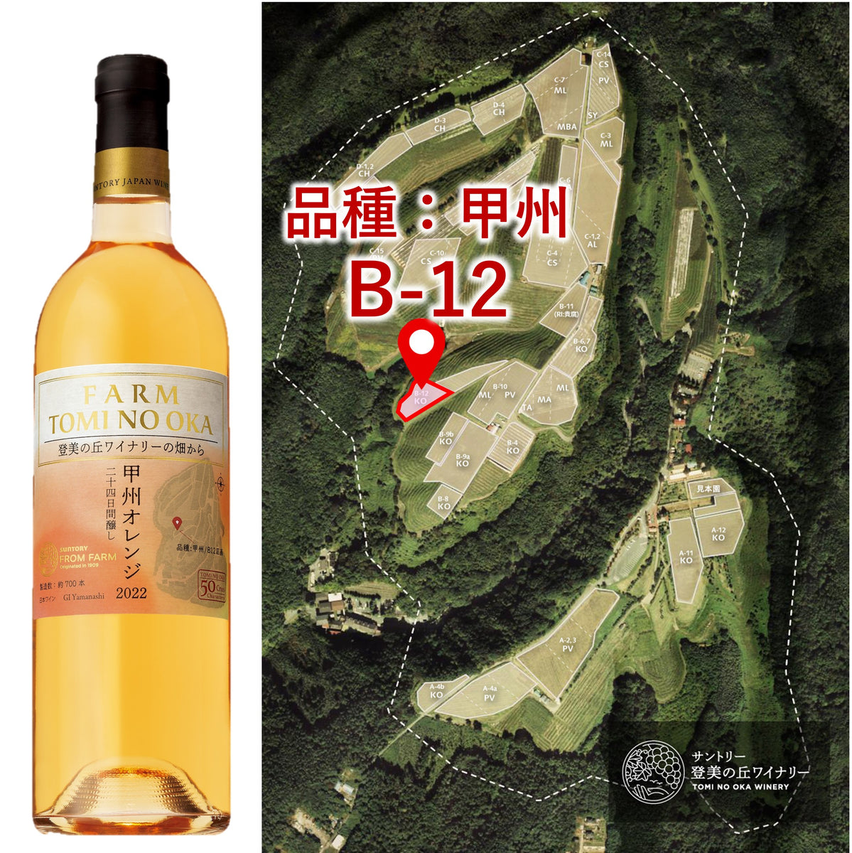 【未使用品】サントリー 登美の丘ワイナリー 赤＆甲州 2本セット 750ml×2 FARM 登美の丘 甲州 オレンジ 2022 二十四日間醸し – SUNTORY FROM