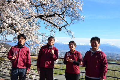 富士山とともに、ワイナリーでお花見
