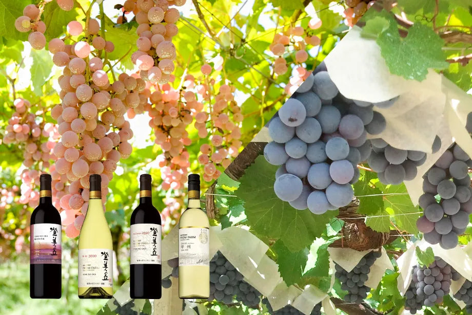 世界も注目！山梨県産ワインの基礎知識・選び方・おすすめワイン