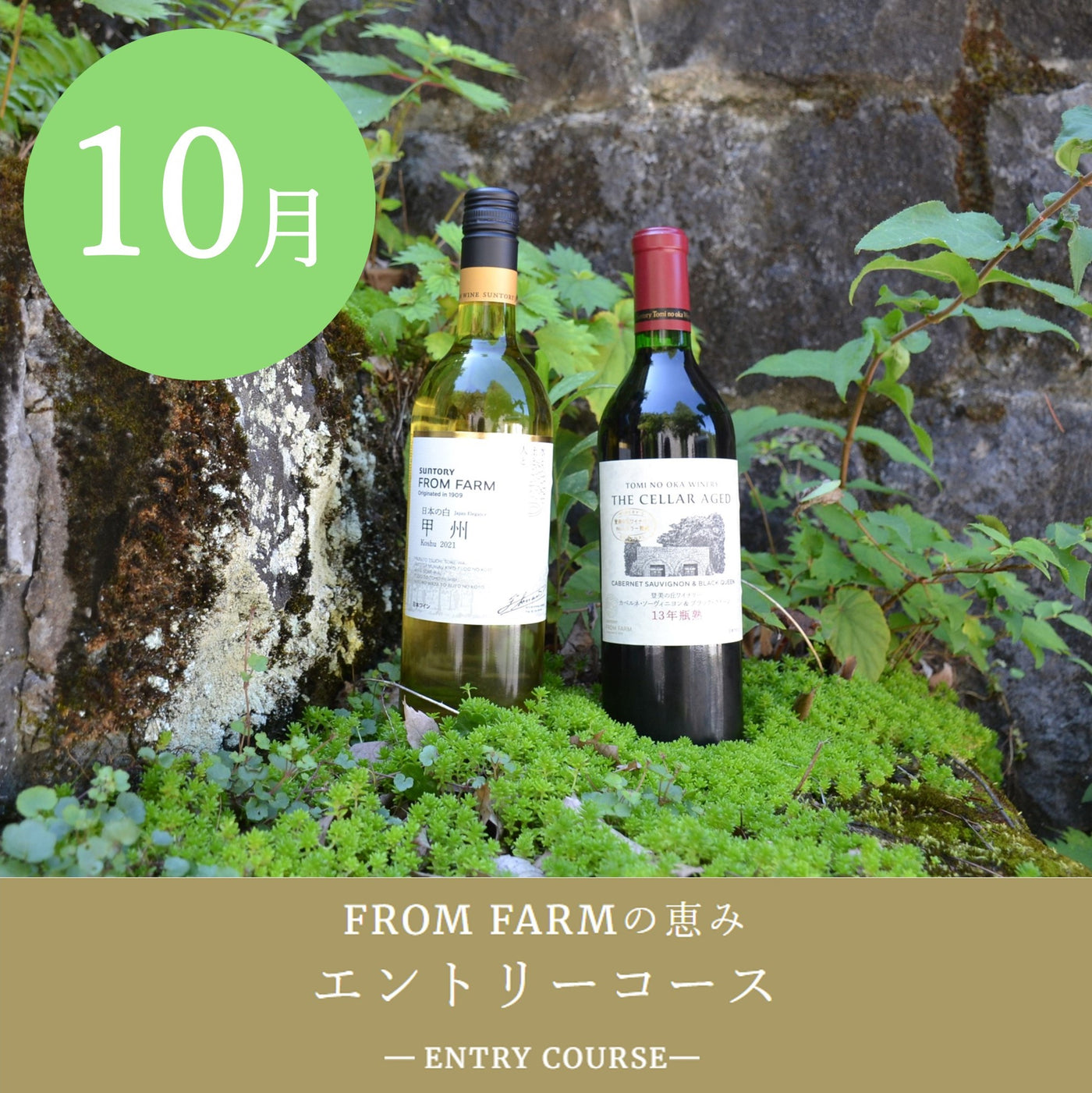 直送定期便：FROM FARMの恵み（6,000円コース）