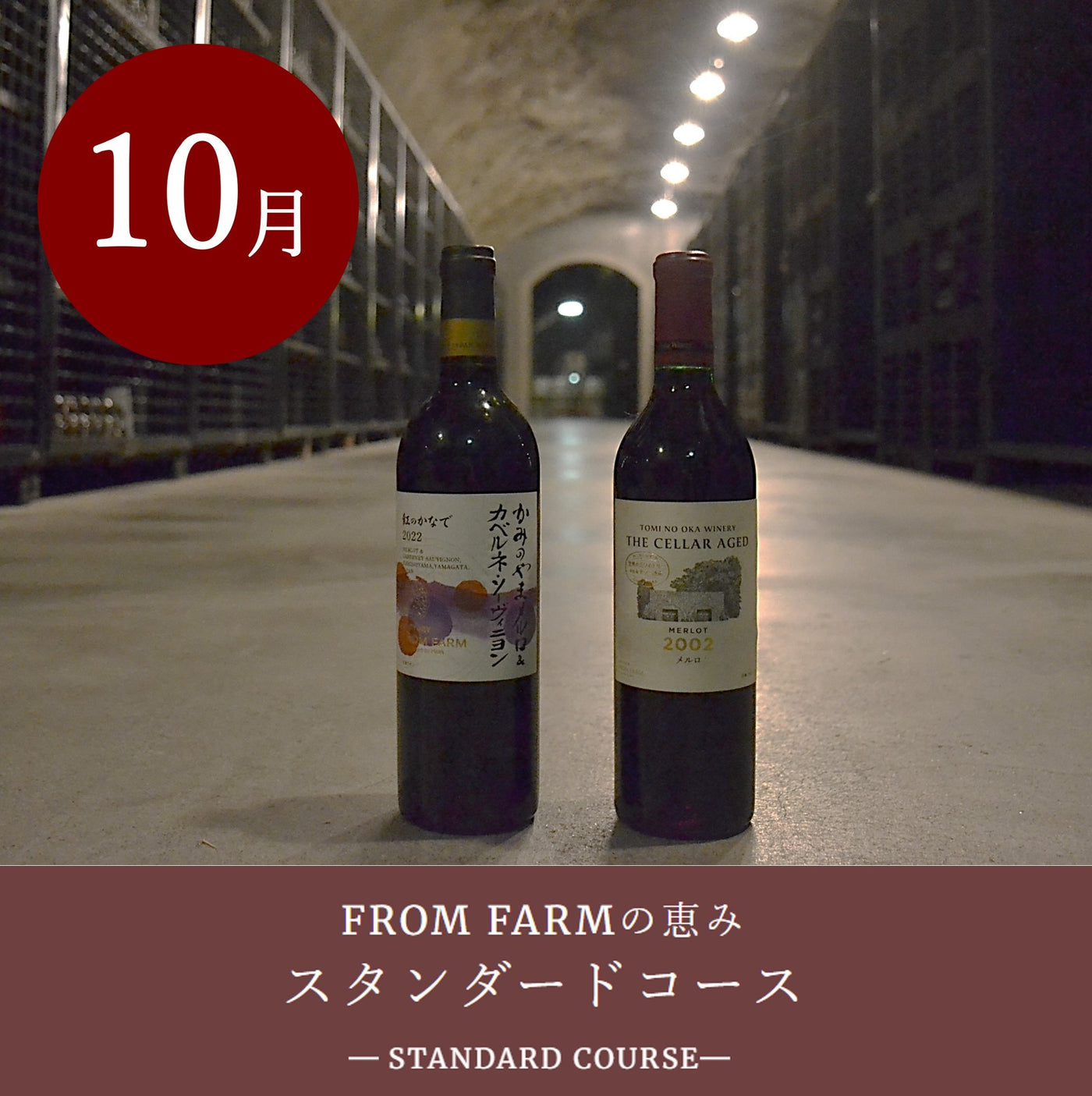 直送定期便：FROM FARMの恵み（10,000円コース）