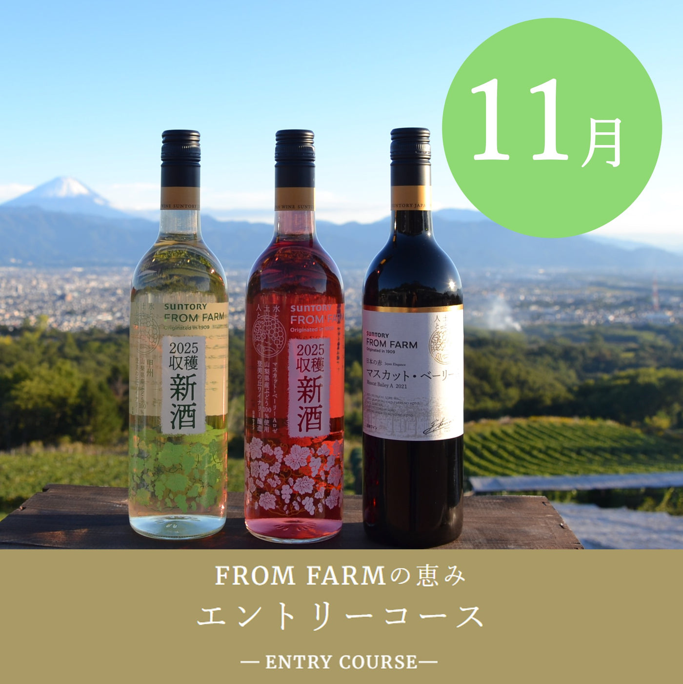 直送定期便：FROM FARMの恵み（6,000円コース）