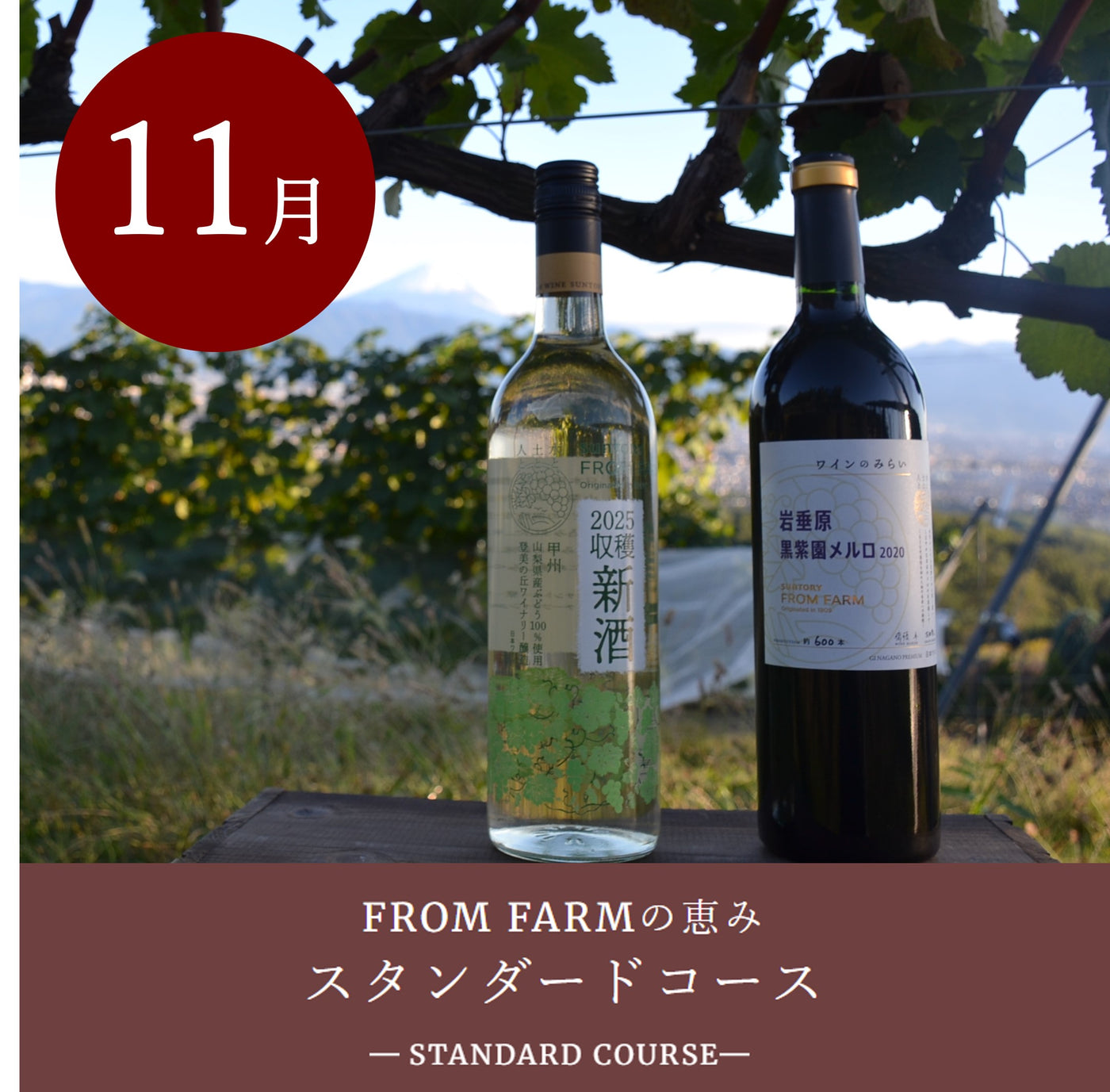 直送定期便：FROM FARMの恵み（10,000円コース）