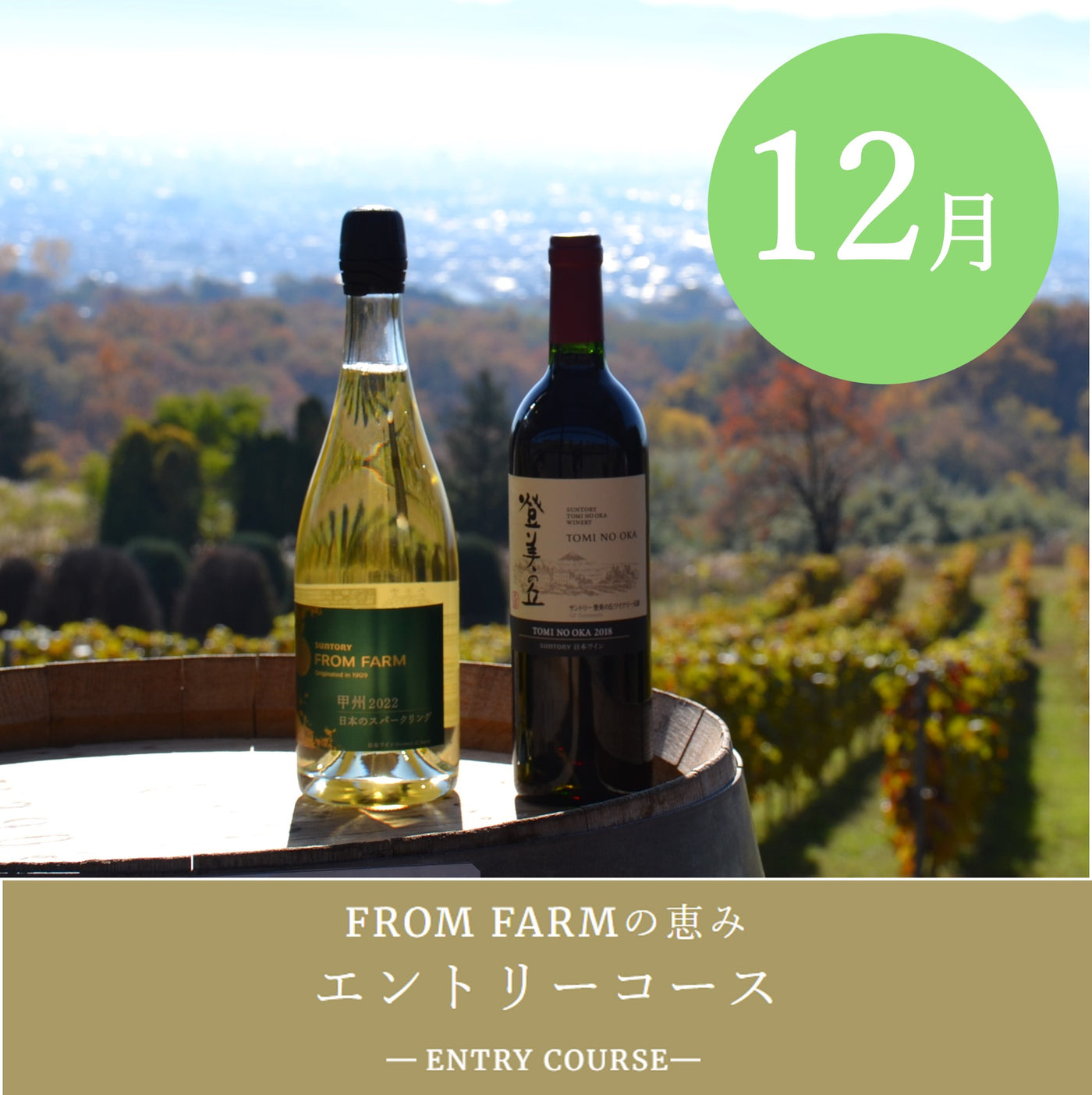 直送定期便：FROM FARMの恵み（6,000円コース）