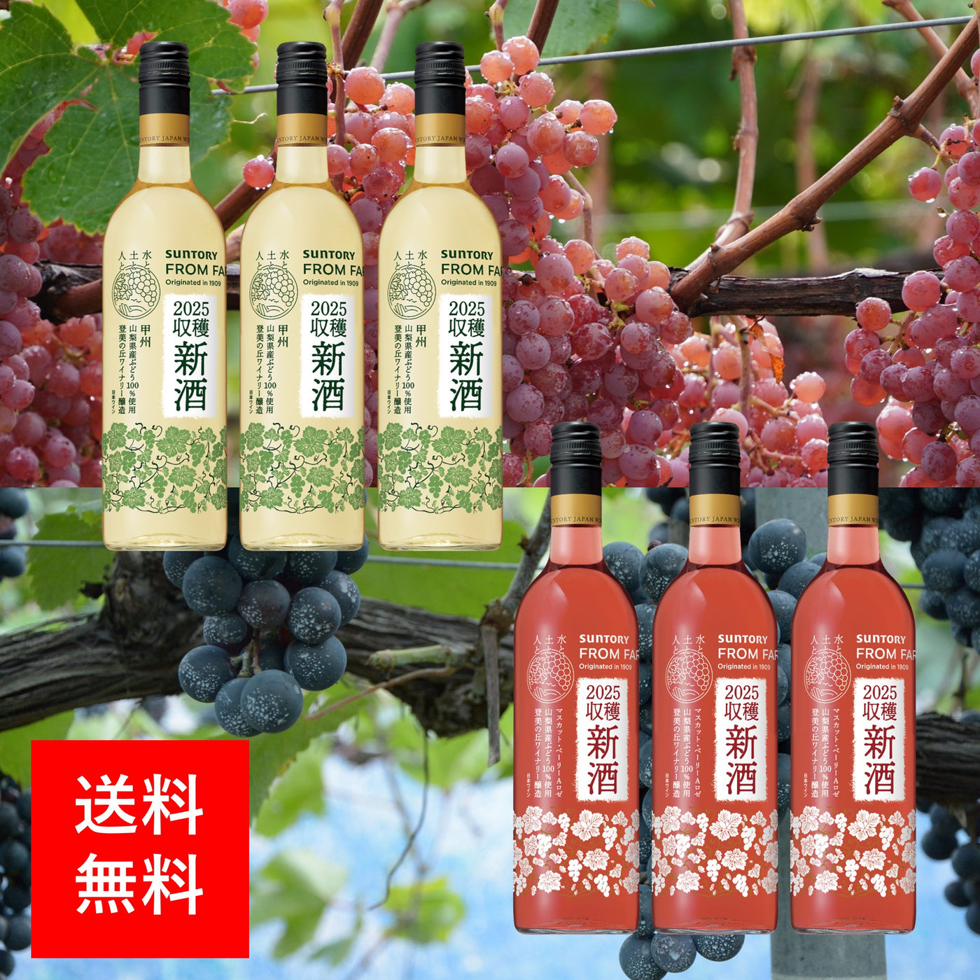 2025年新酒 ６本セット【送料無料】