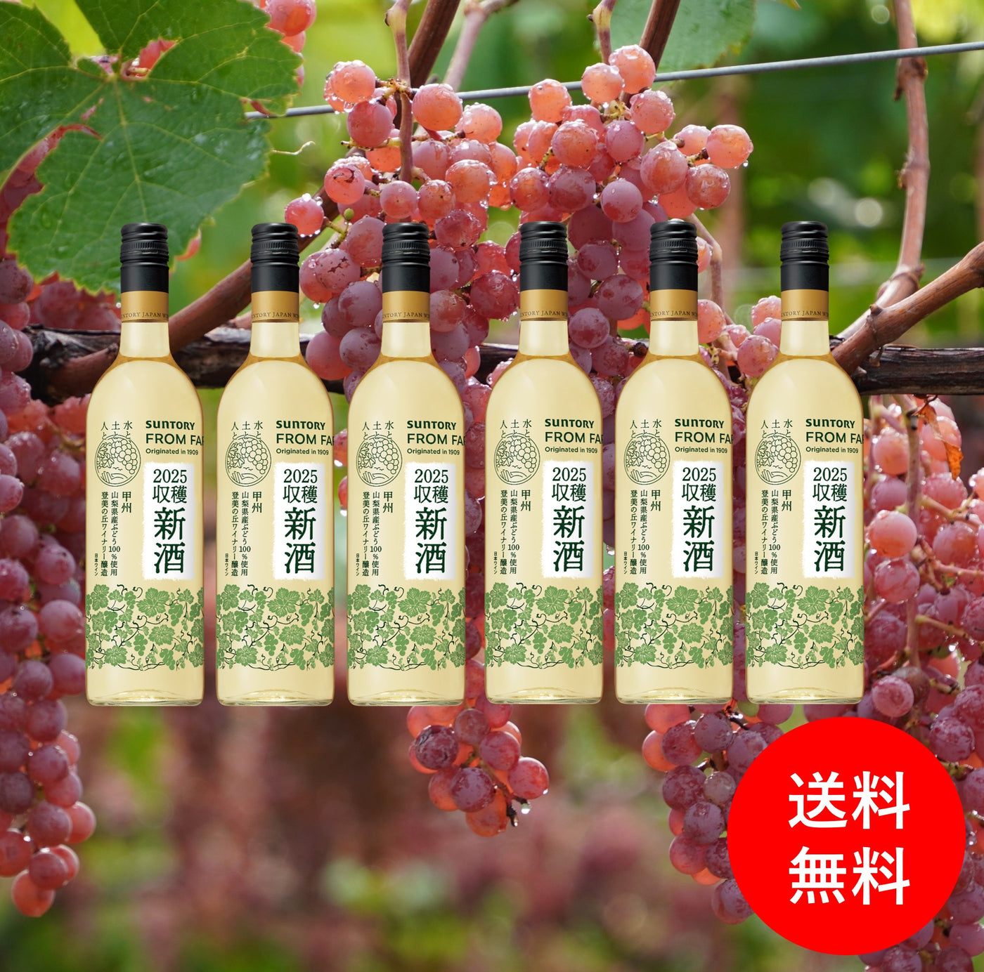 2025年新酒 甲州 ６本セット【送料無料】