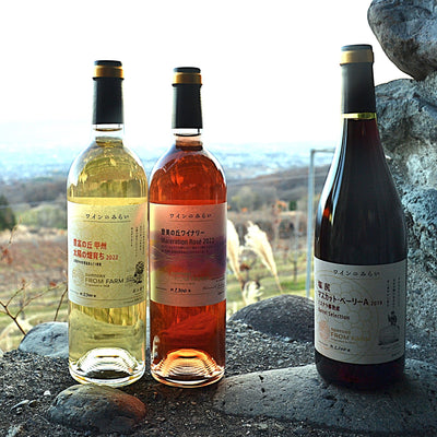 S*S様 日本ワインセット 楽天市場】日本ワイン セット【軽口飲みやす4本セット】送料無料