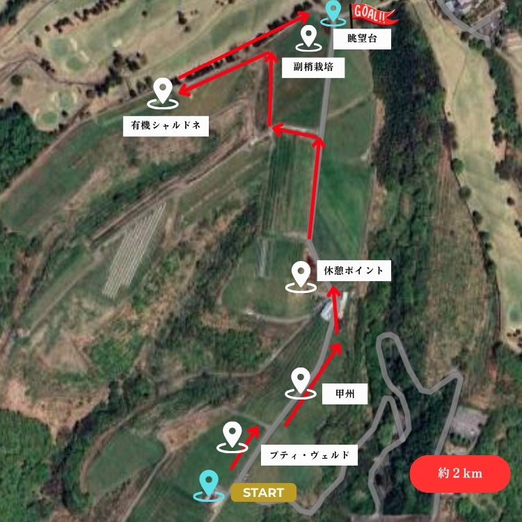 【11/29(土)】登美の丘ワイナリーウォーク～未来へつなぐサステナブルなワインづくり～