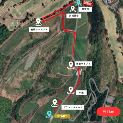 【11/29(土)】登美の丘ワイナリーウォーク～未来へつなぐサステナブルなワインづくり～