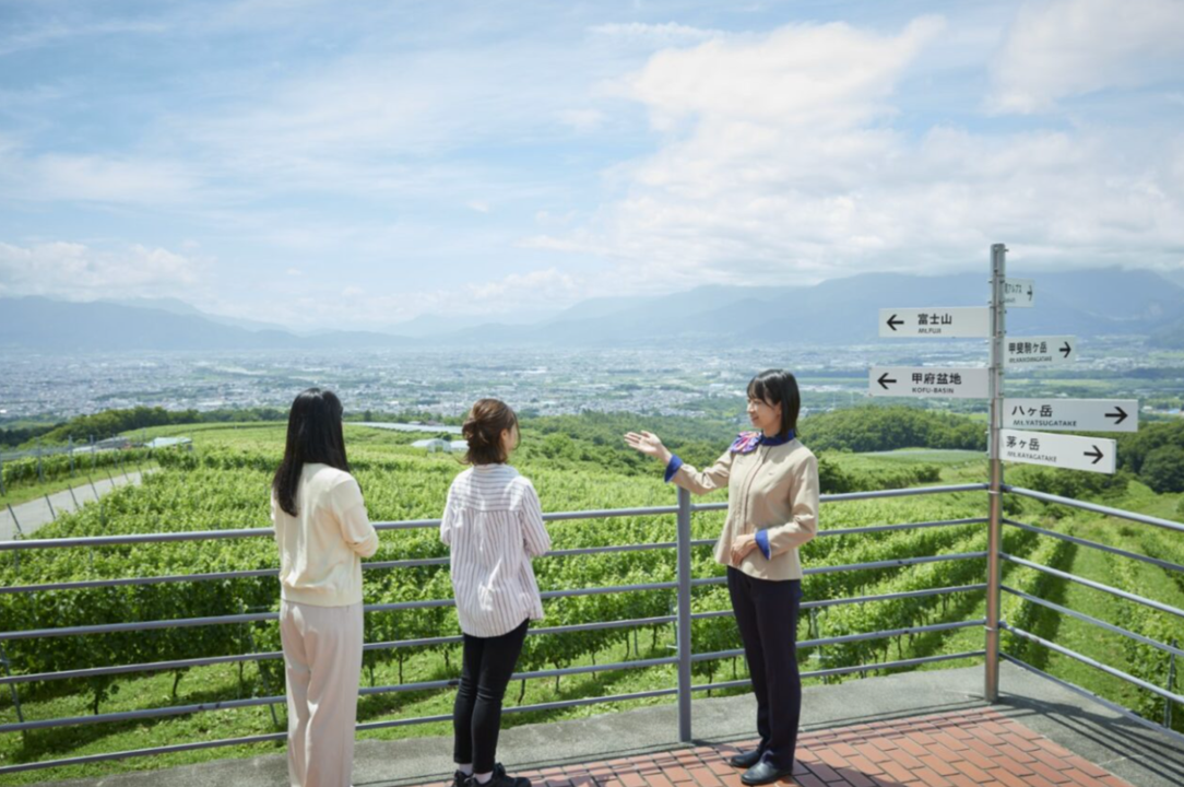 【9/28(日)】眺望台ぶどう畑赤ワインツアー