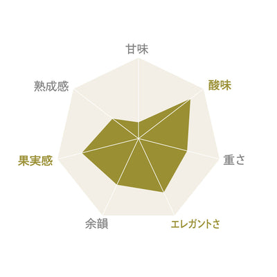 南アルプス 甲州 風立つ畑育ち 2023｜ワインのみらい