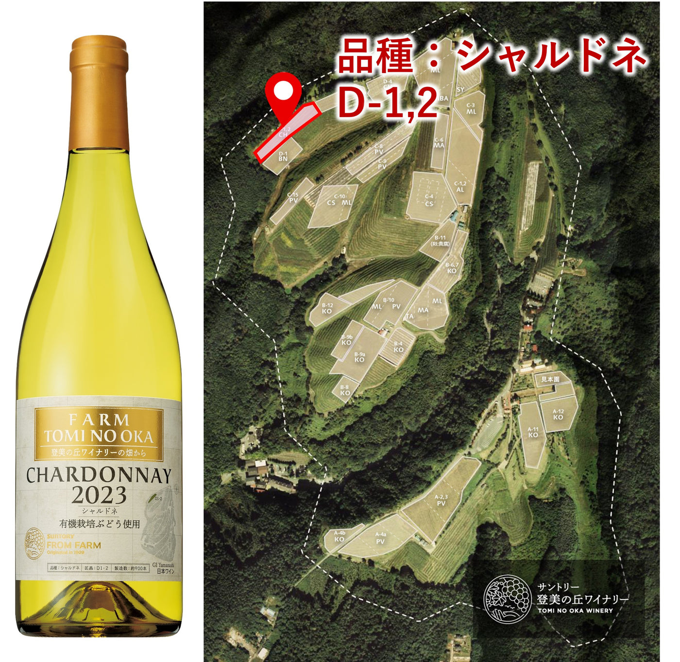 FARM 登美の丘 シャルドネ 2023 有機栽培ぶどう使用