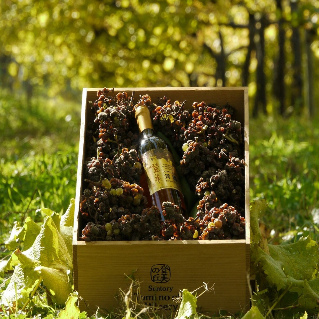 登美 貴腐 ＜ノーブルダルジャン＞ スペシャルアッサンブラージュ