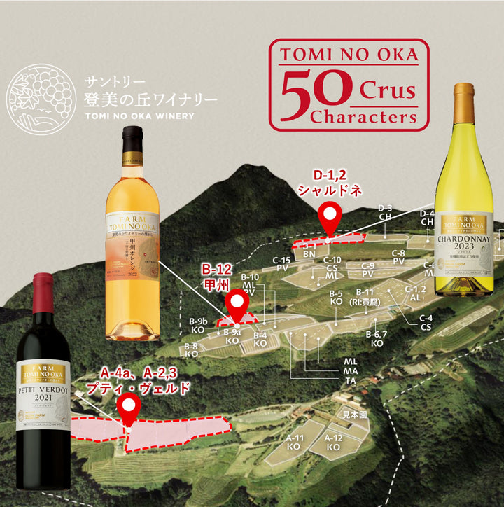 日本ワイン]山田堂 ヨイチ ロゼ ピノ・ノワール 2023 ロゼ750ml