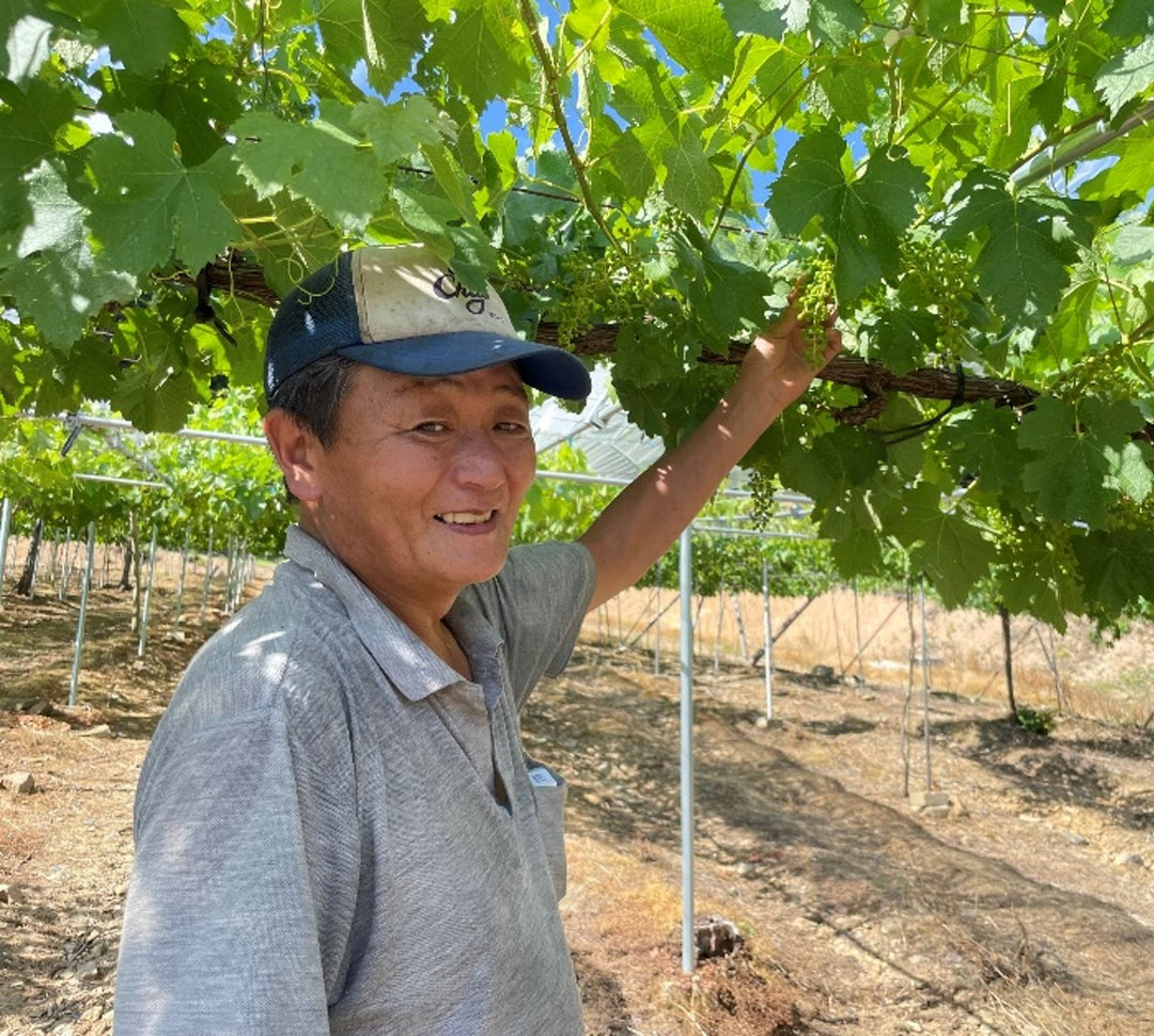 かみのやま カベルネ・ソーヴィニヨン 2021 – SUNTORY FROM FARM