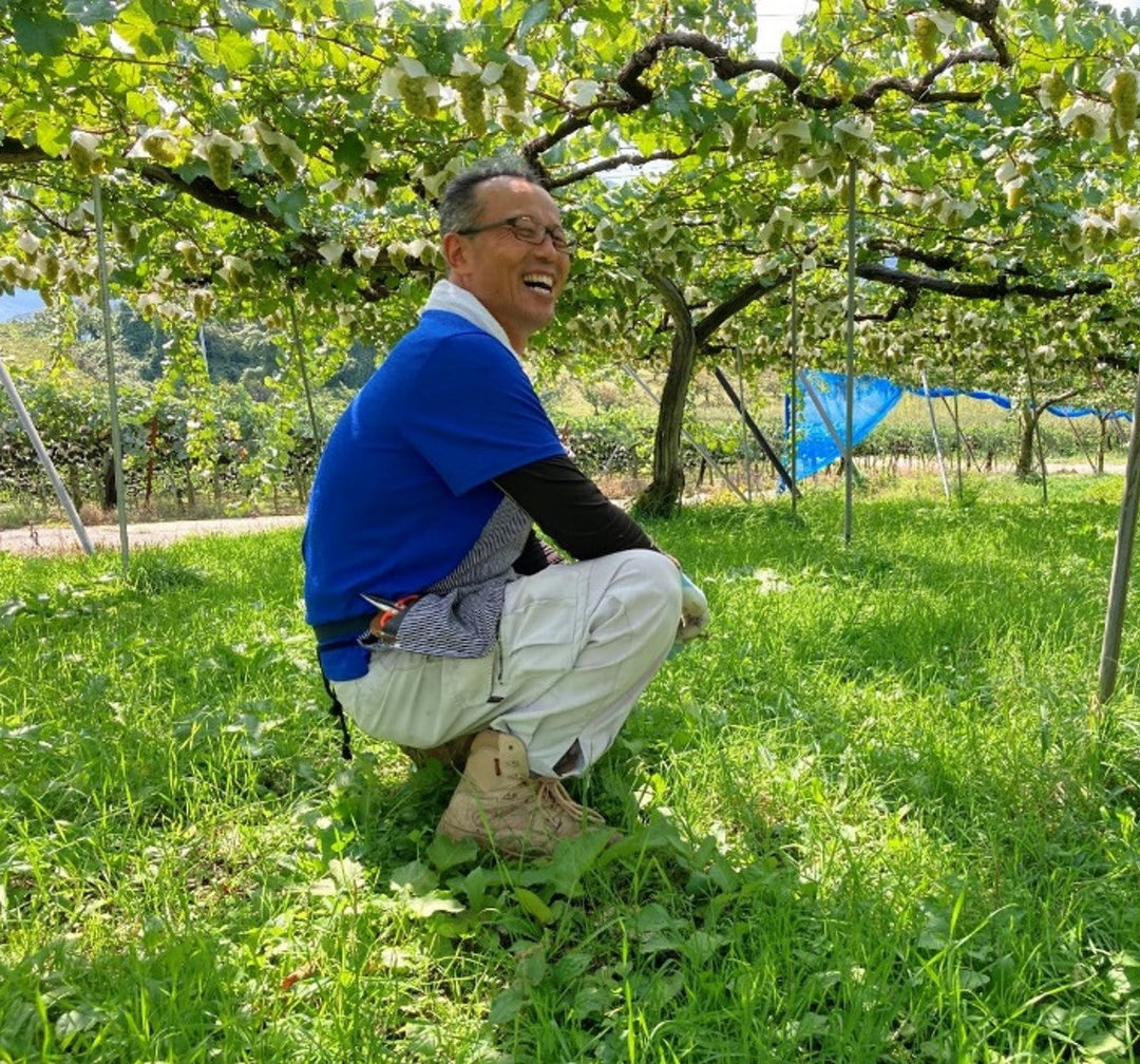 かみのやま シャルドネ 2024 – SUNTORY FROM FARM Online Shop