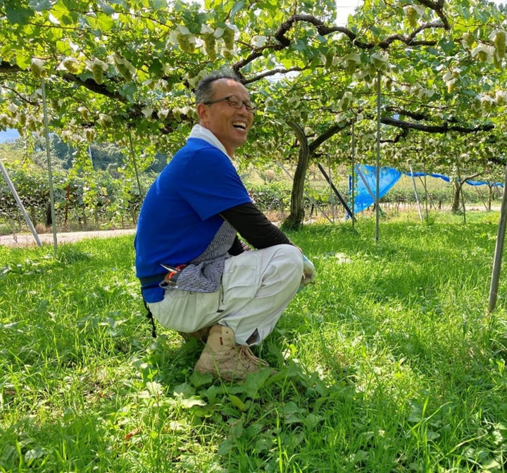 かみのやま シャルドネ 2025｜日本ワイン 白 シャルドネ 山形