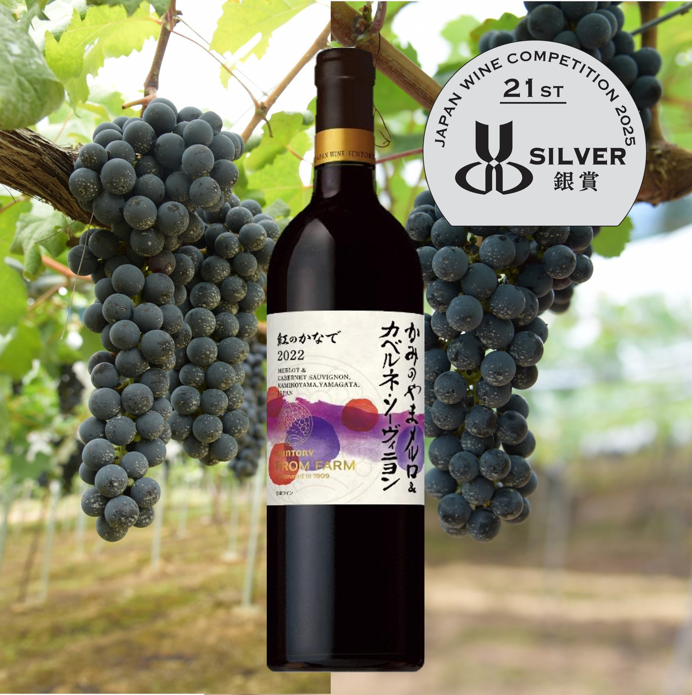 【ポイント２倍】日本ワインコンクール2025受賞ワイン３本セット