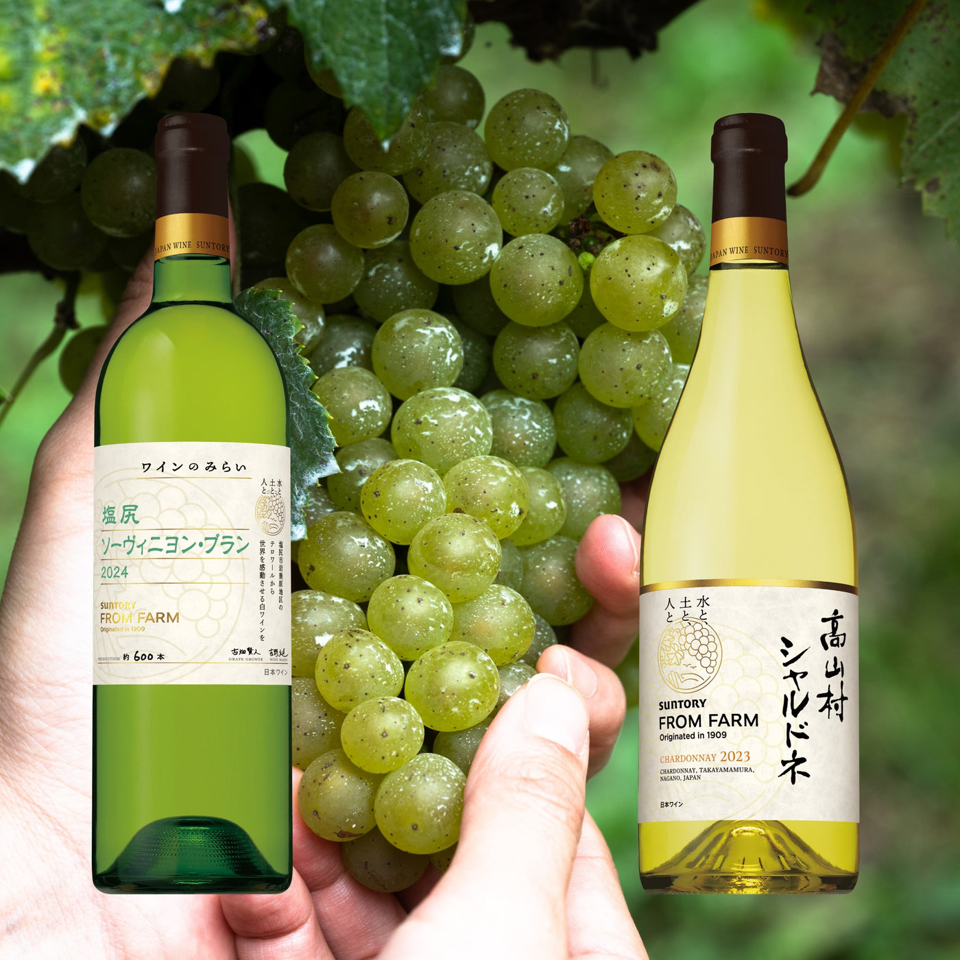 【11/22(土)】つくり手が案内！ワイナリーツアー　塩尻ワイナリーの白ワインづくり