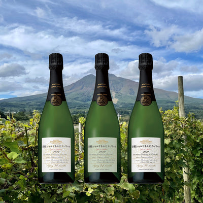 【11/22(土)】つくり手が案内！ワイナリーツアー　塩尻ワイナリーにおける瓶内二次醗酵スパークリングワインへの挑戦