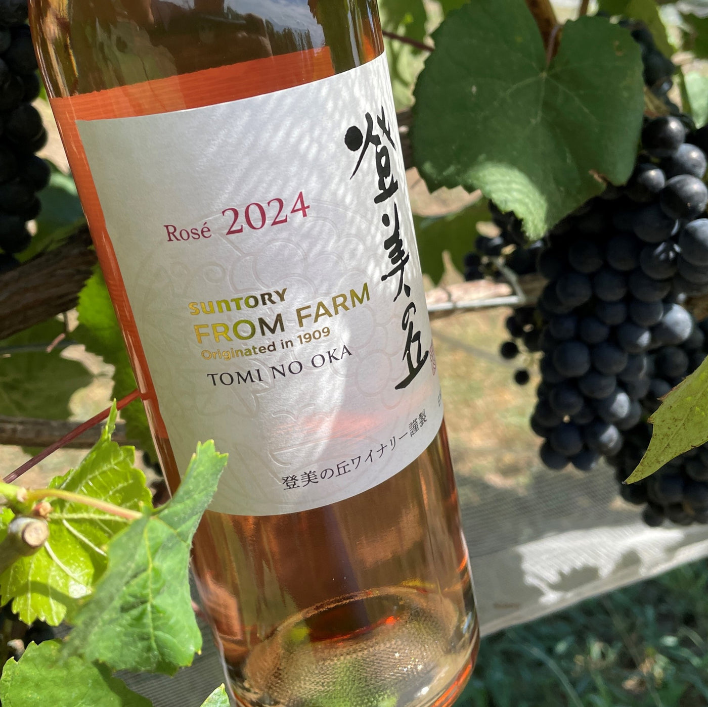 登美の丘 ロゼ 2024