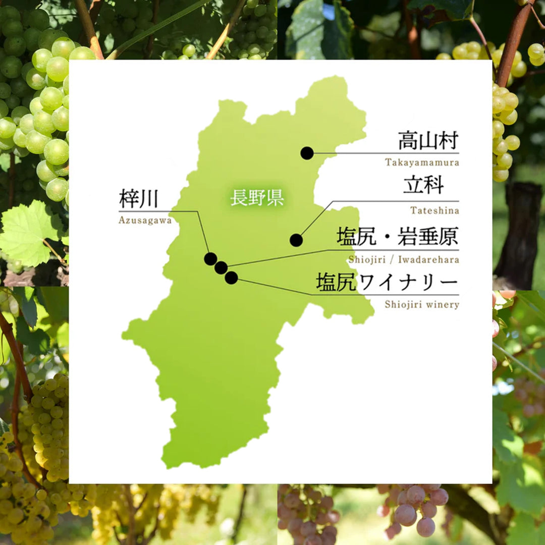 信州シンフォニー 2023 – SUNTORY FROM FARM Online Shop