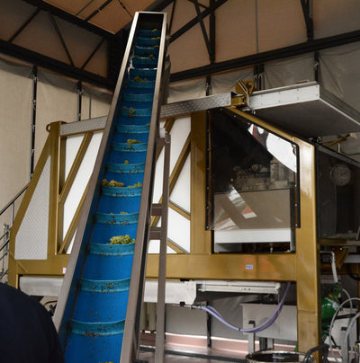 【11/22(土)】つくり手が案内！ワイナリーツアー　塩尻ワイナリーにおける瓶内二次醗酵スパークリングワインへの挑戦