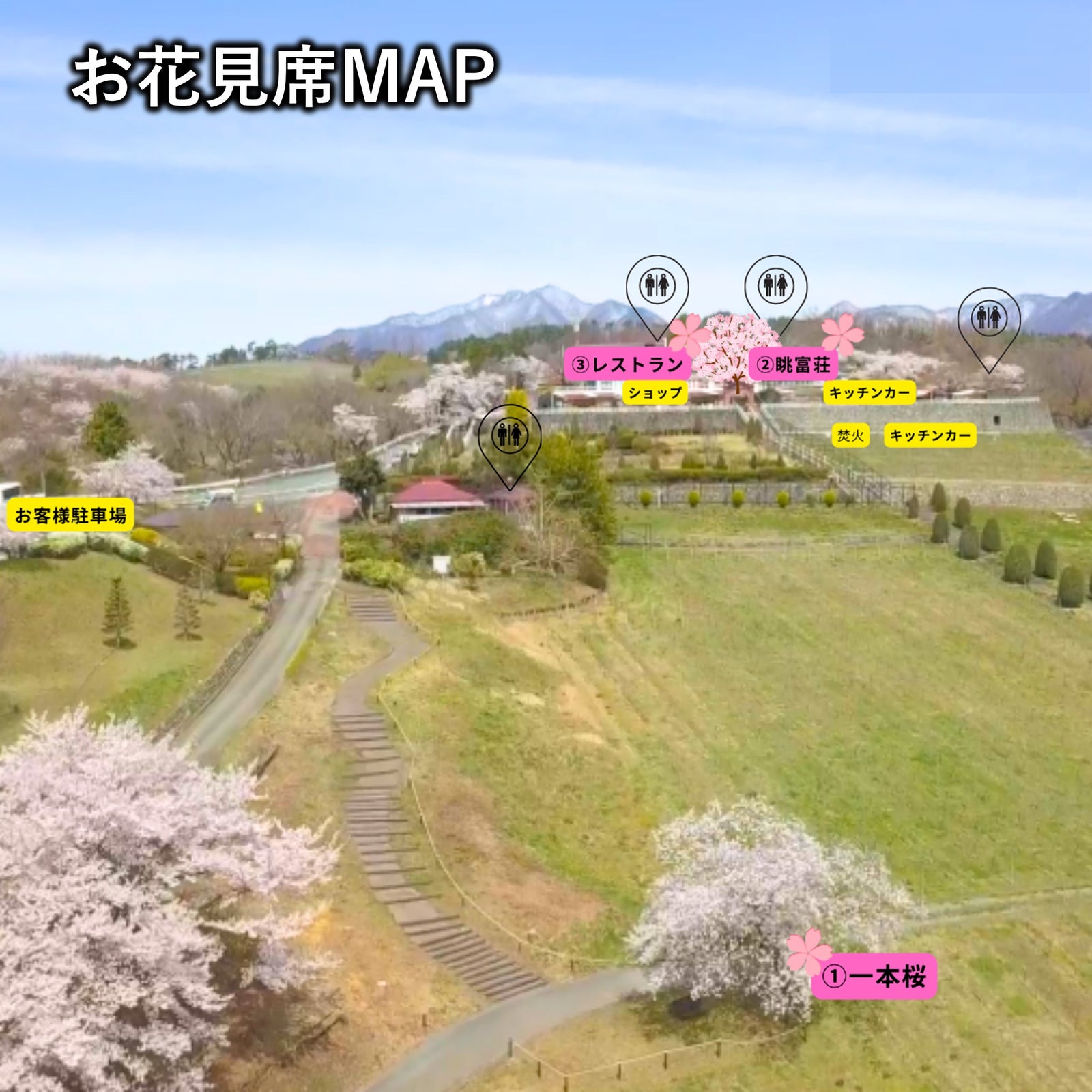 2024年花見席抽選 – SUNTORY FROM FARM Online Shop