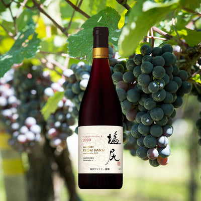 SUNTORY FROM FARM 日本ワイン産地飲み比べセット