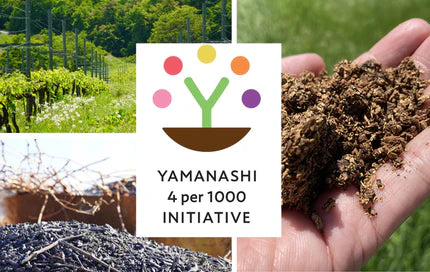 【11/29(土)】登美の丘ワイナリーウォーク～未来へつなぐサステナブルなワインづくり～