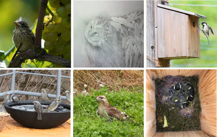 【11/29(土)】登美の丘ワイナリーウォーク～未来へつなぐサステナブルなワインづくり～