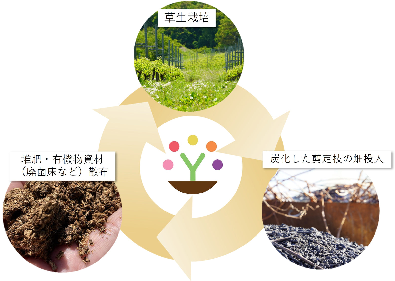 4パーミルイニシアチヴ – SUNTORY FROM FARM Online Shop
