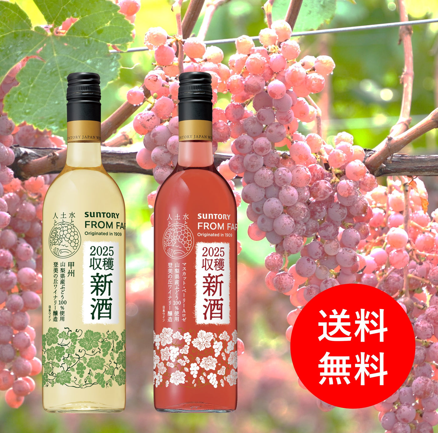 【社内販売・送料無料】2025年新酒 ２本セット