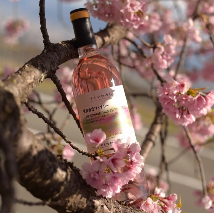 日本ワイン 3本セット 限定60セット】春に飲みたい！フルーティでバランスが取れたワイン3本