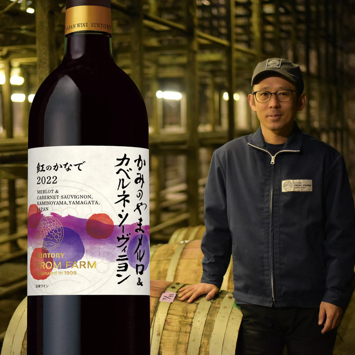 限定60セット】春に飲みたい！フルーティでバランスが取れたワイン3本