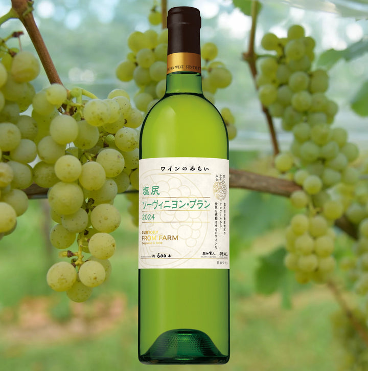 限定60セット】春に飲みたい！フルーティでバランスが取れたワイン3本