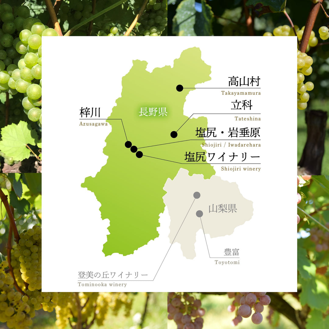 信州シンフォニー 2022 – SUNTORY FROM FARM Online Shop