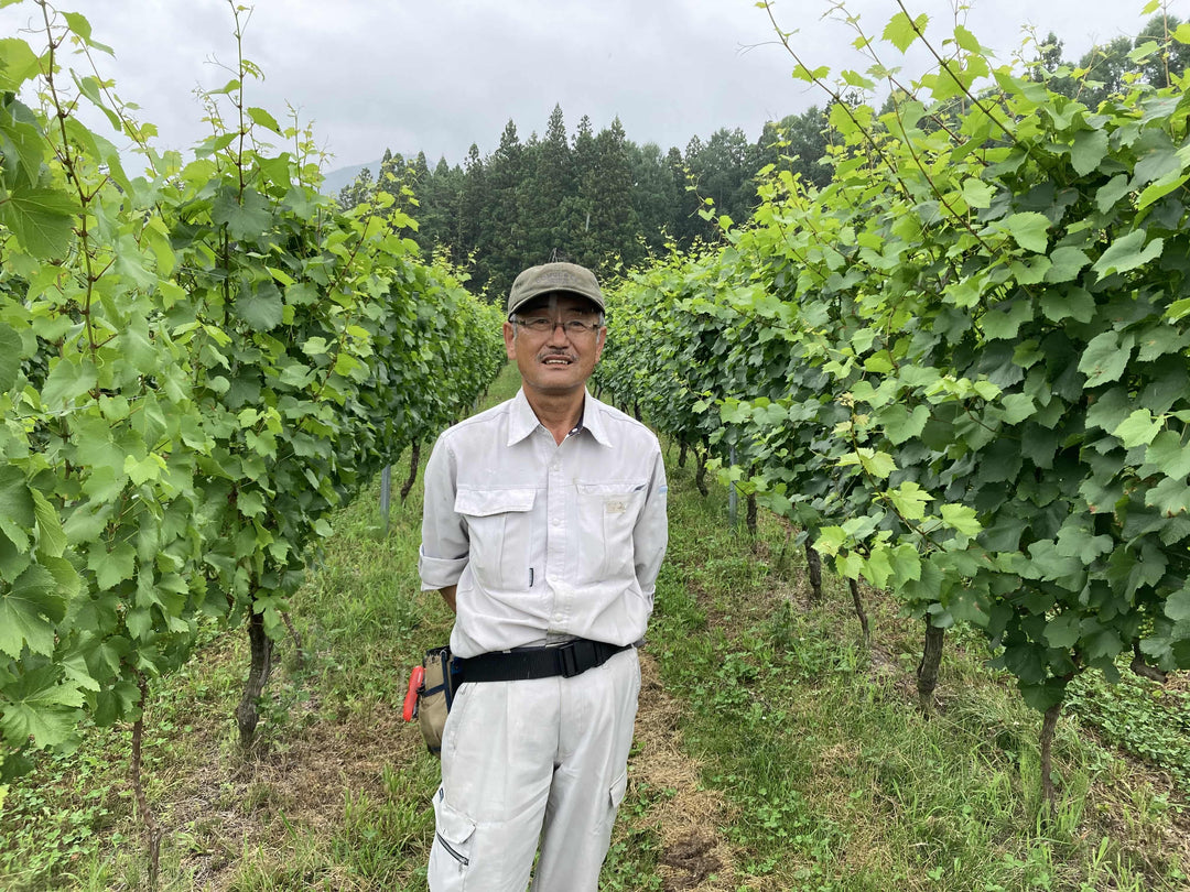 高山村 – SUNTORY FROM FARM Online Shop