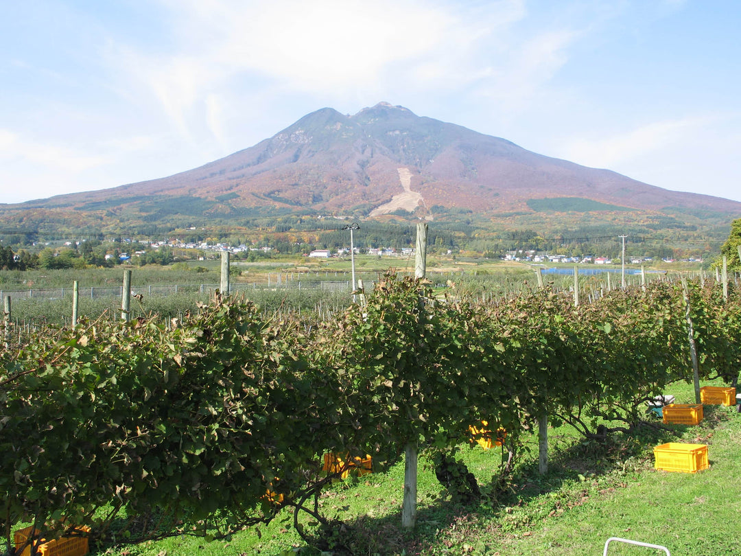 津軽 – SUNTORY FROM FARM Online Shop