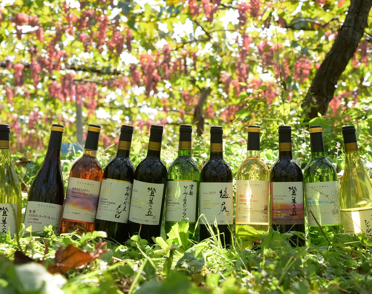 日本の四季が愉しめるおすすめワインを厳選